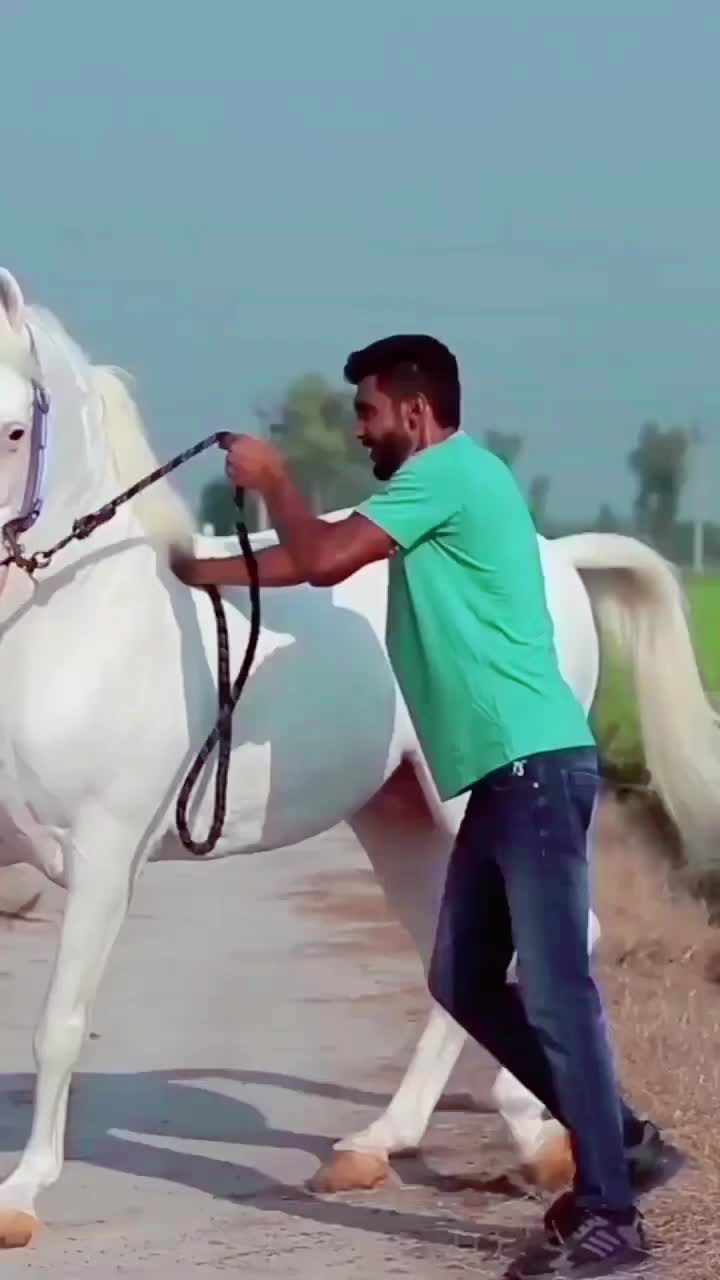 @houselover_virk