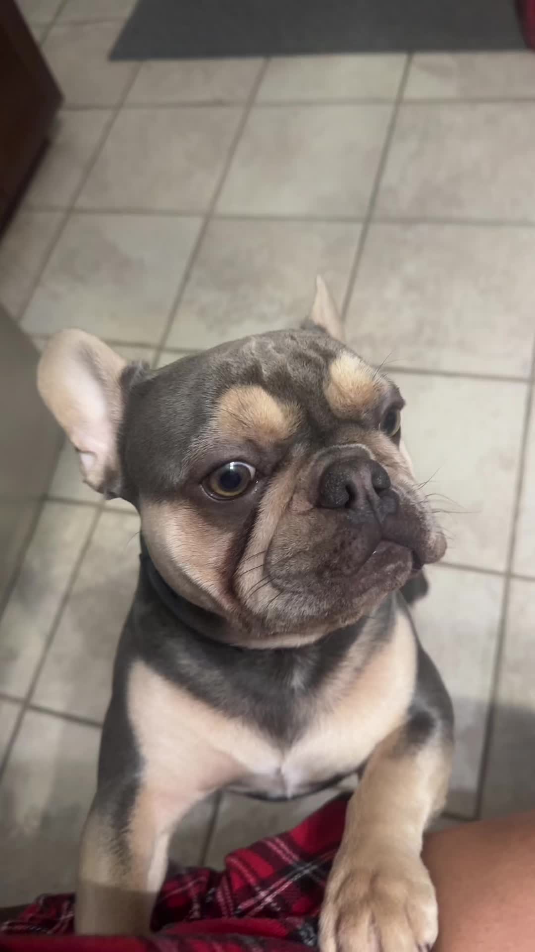 @IamWalter