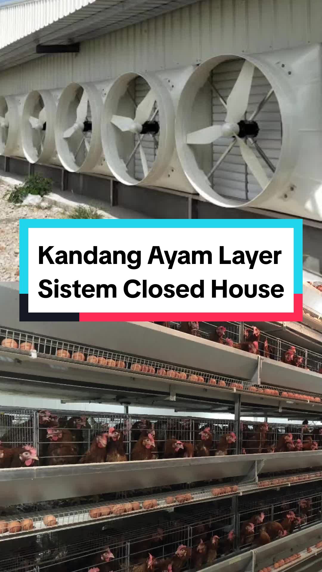 @Farmloka