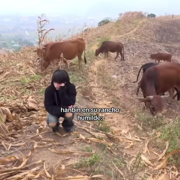 @hanbiness