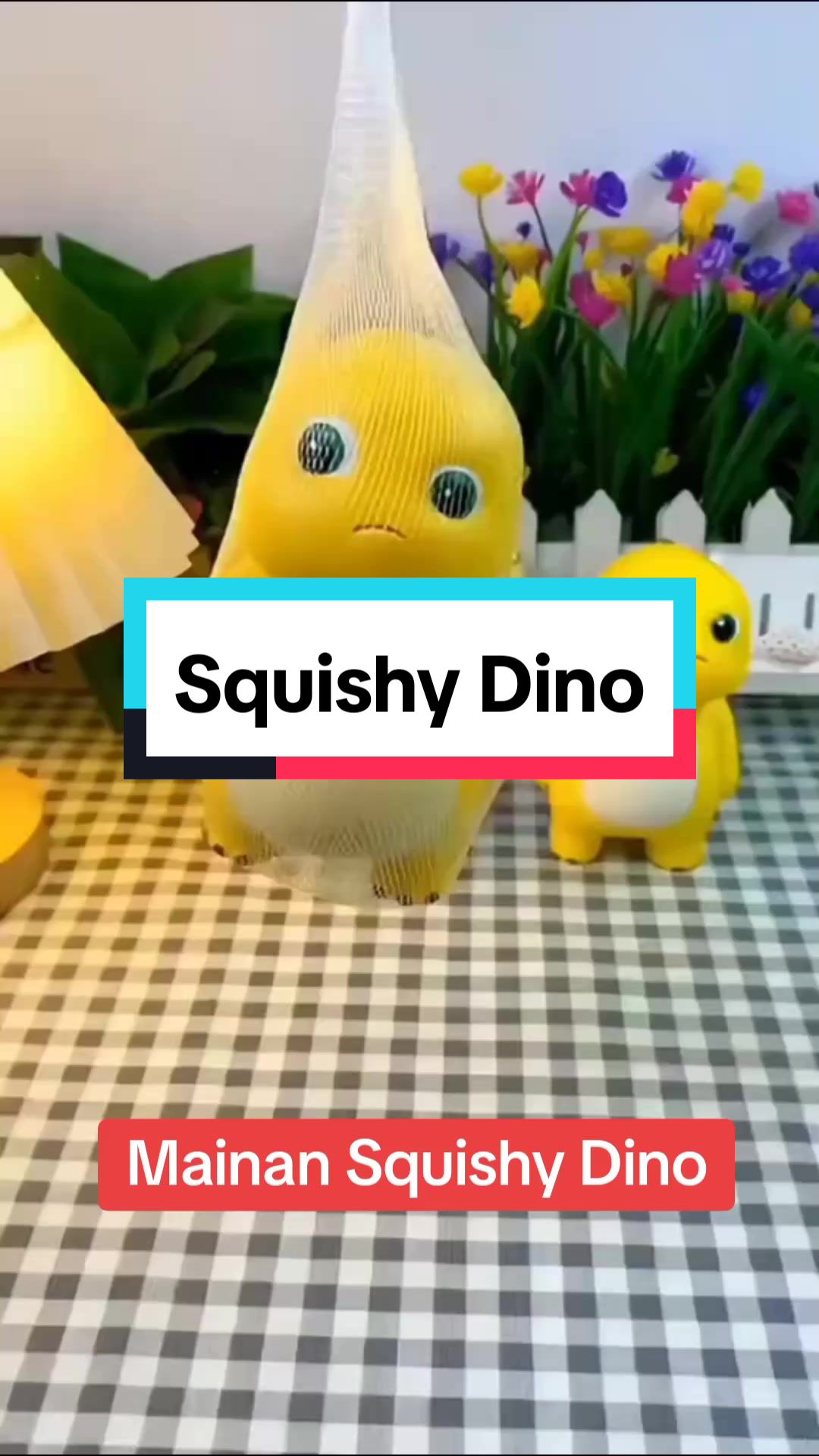 @H2 Dhshop