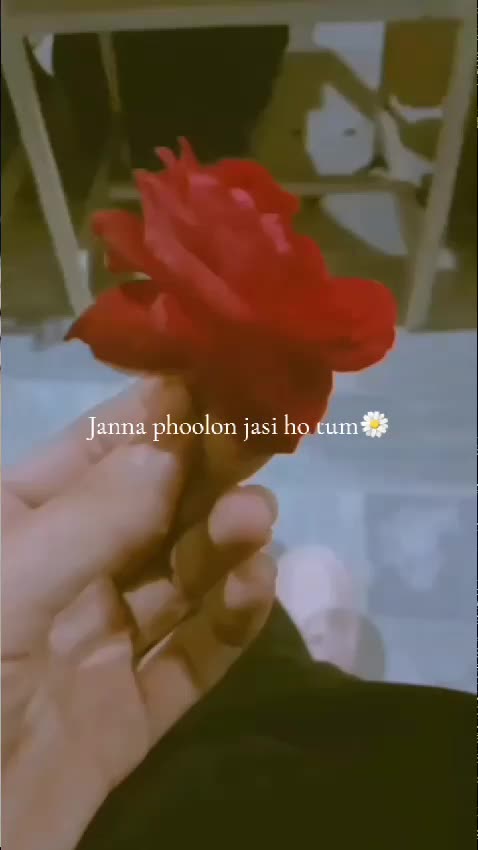 @𝒩𝒾ش𝒜𝒶🫣🫶🏻