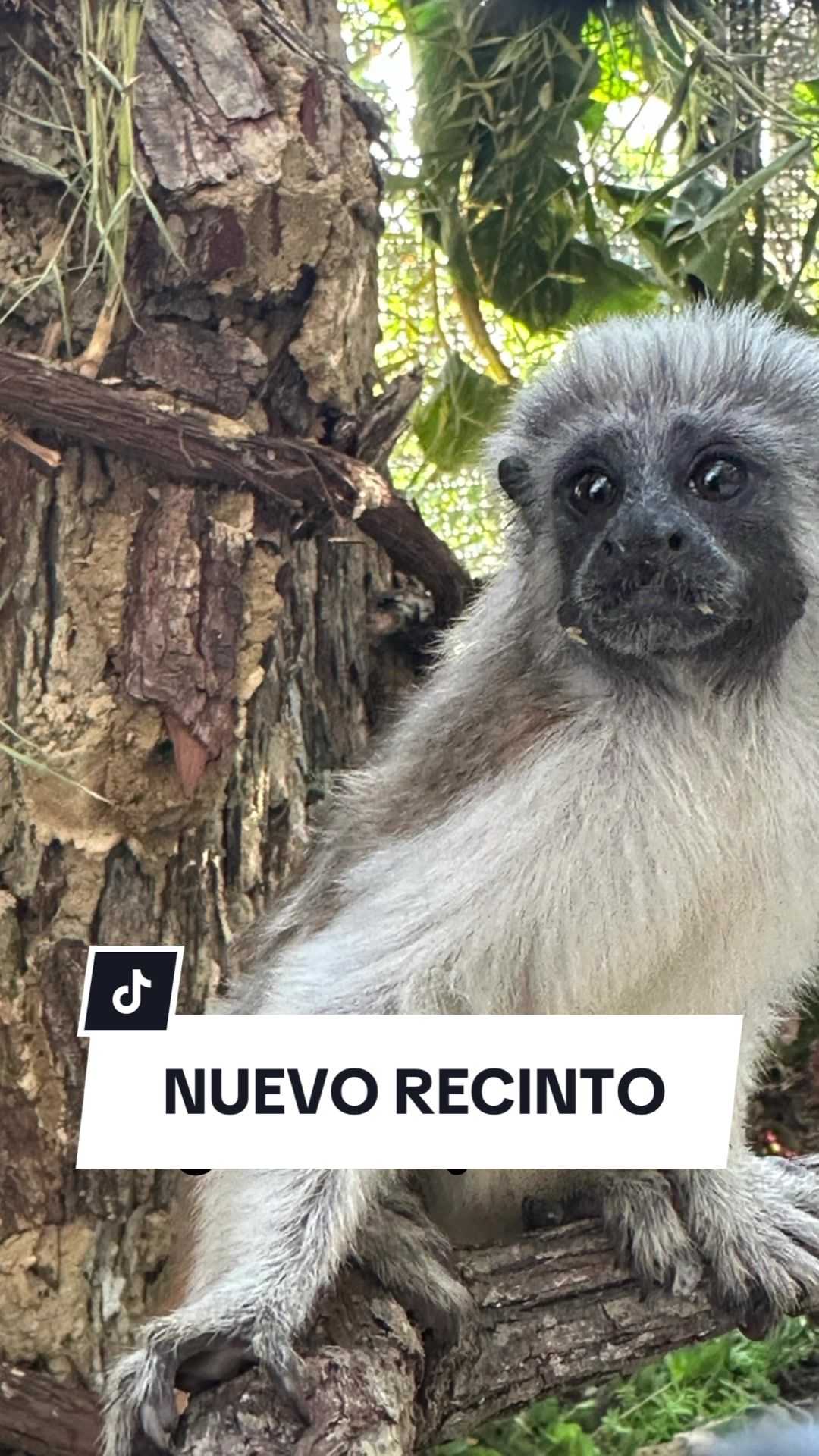 @La Casita del Avestruz
