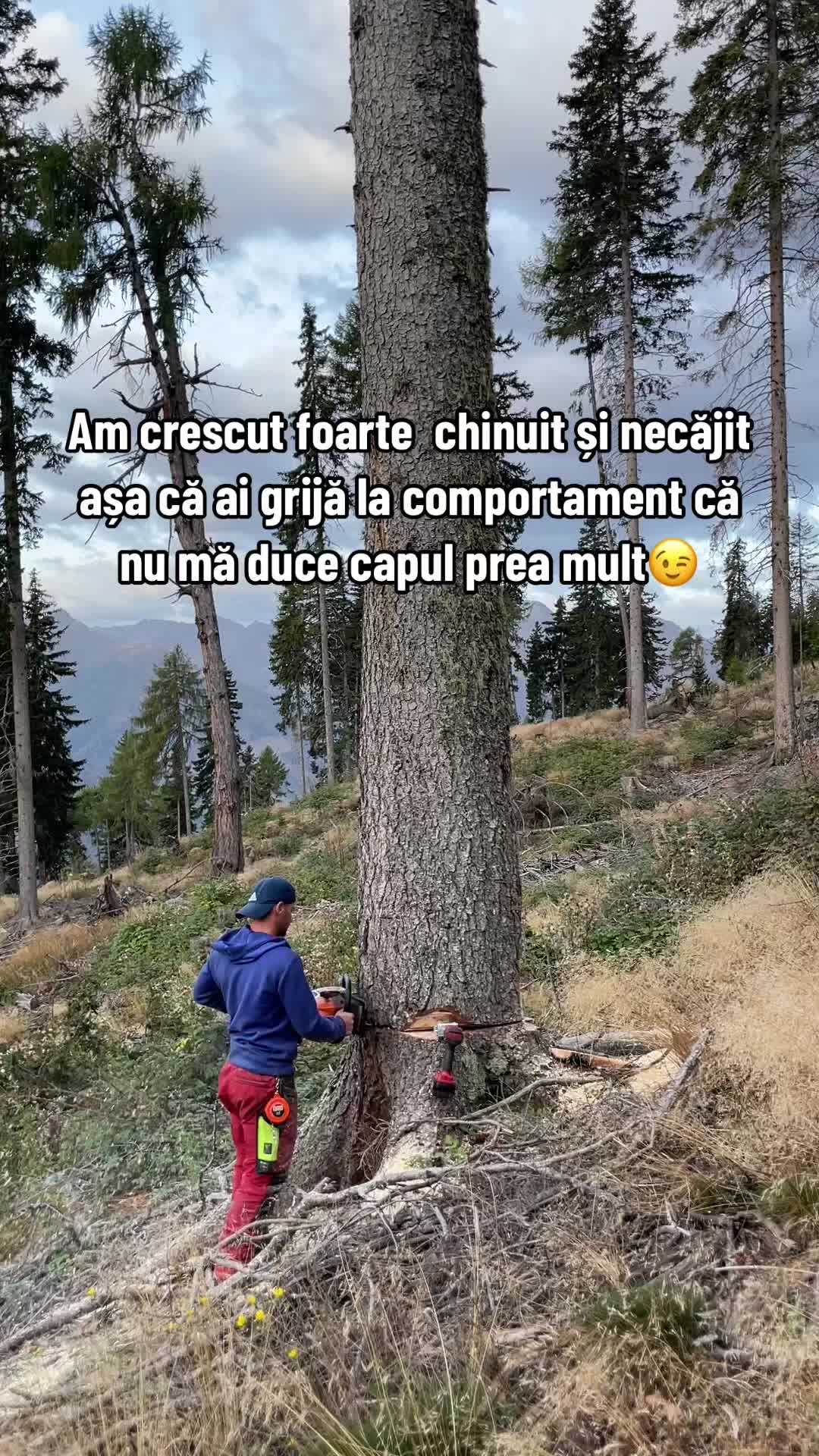 @Nicu Văsieș