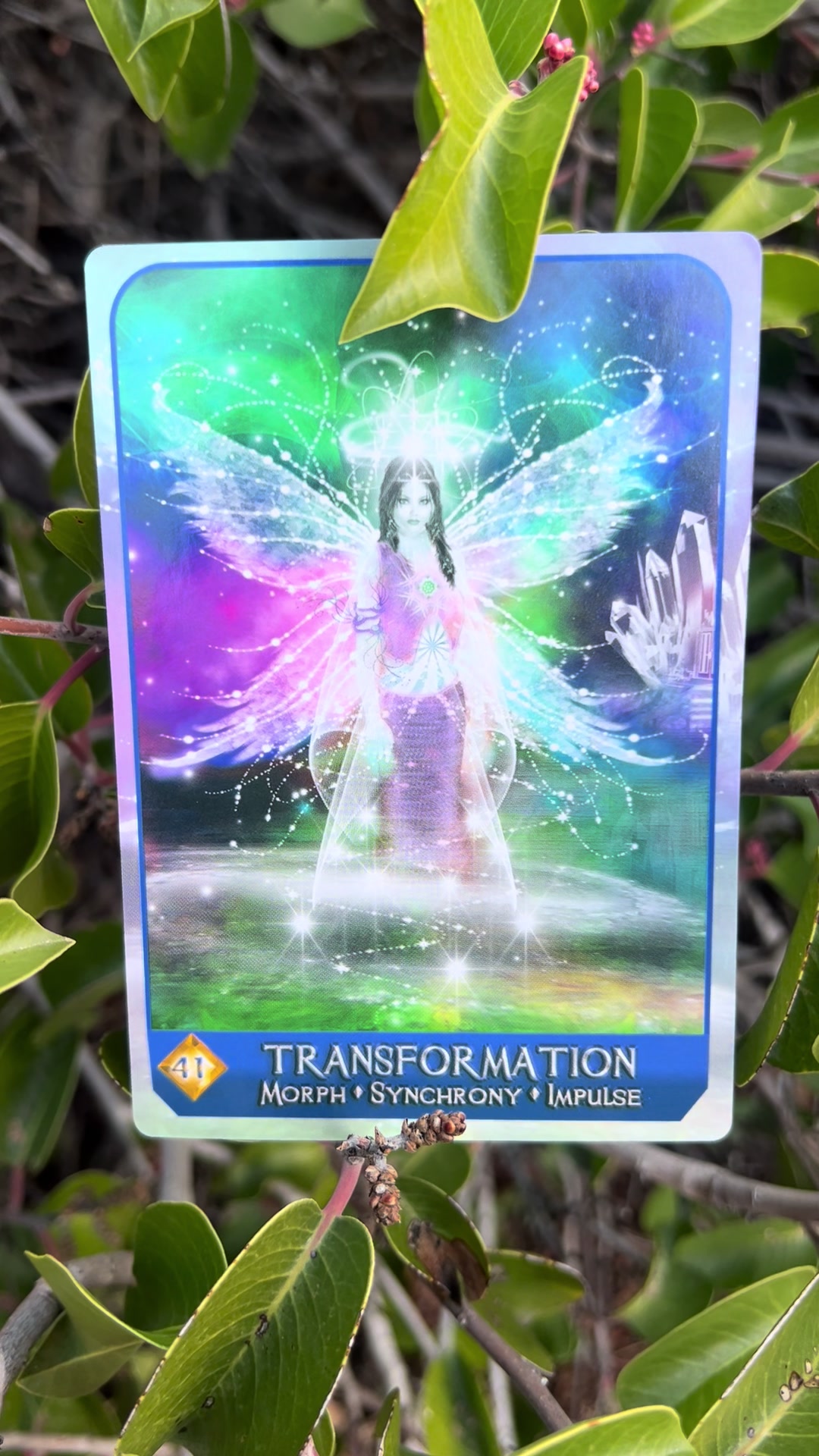 @💫 Star Keeper Oracle 🔮