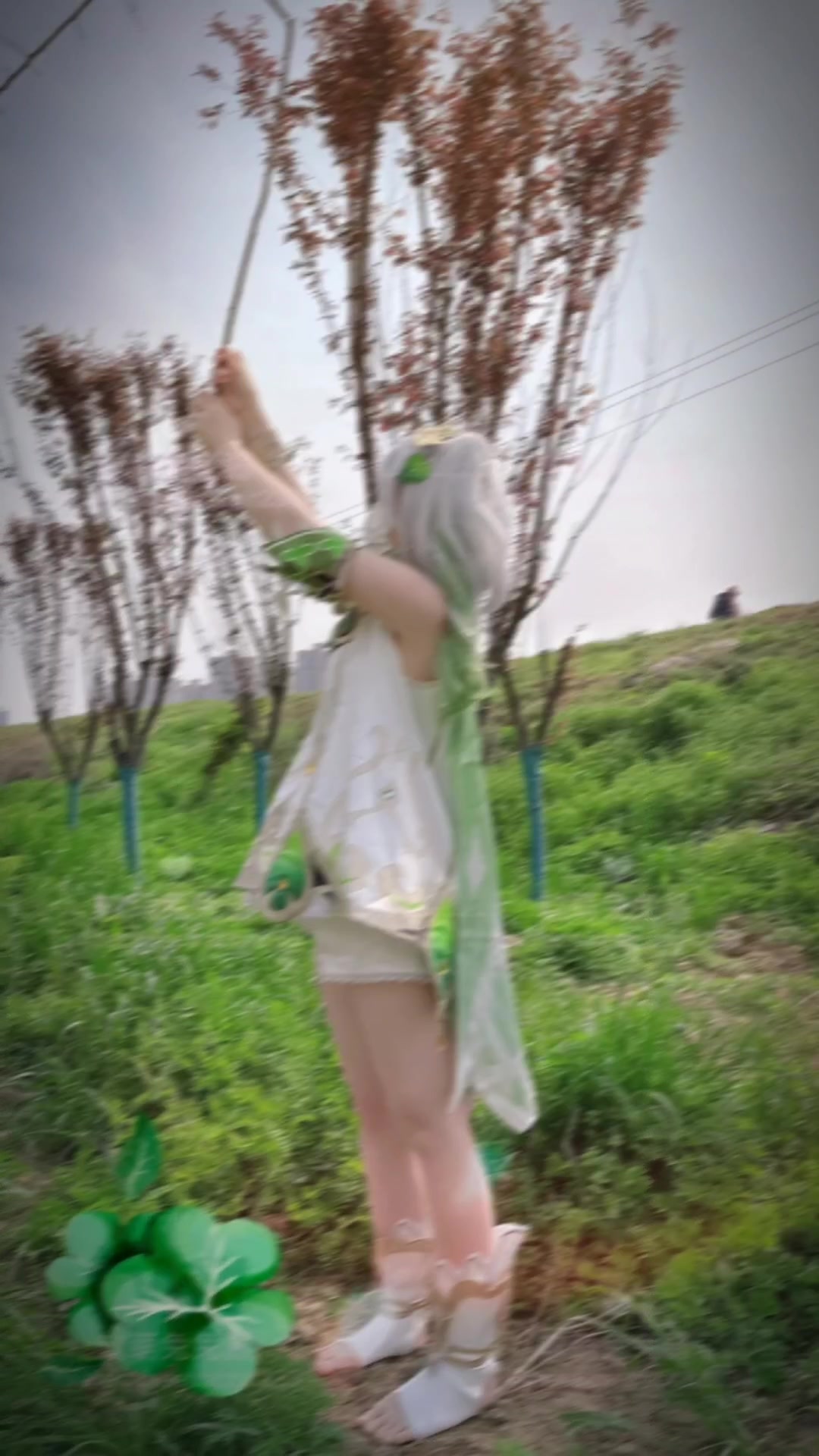 @SweetRabbit233