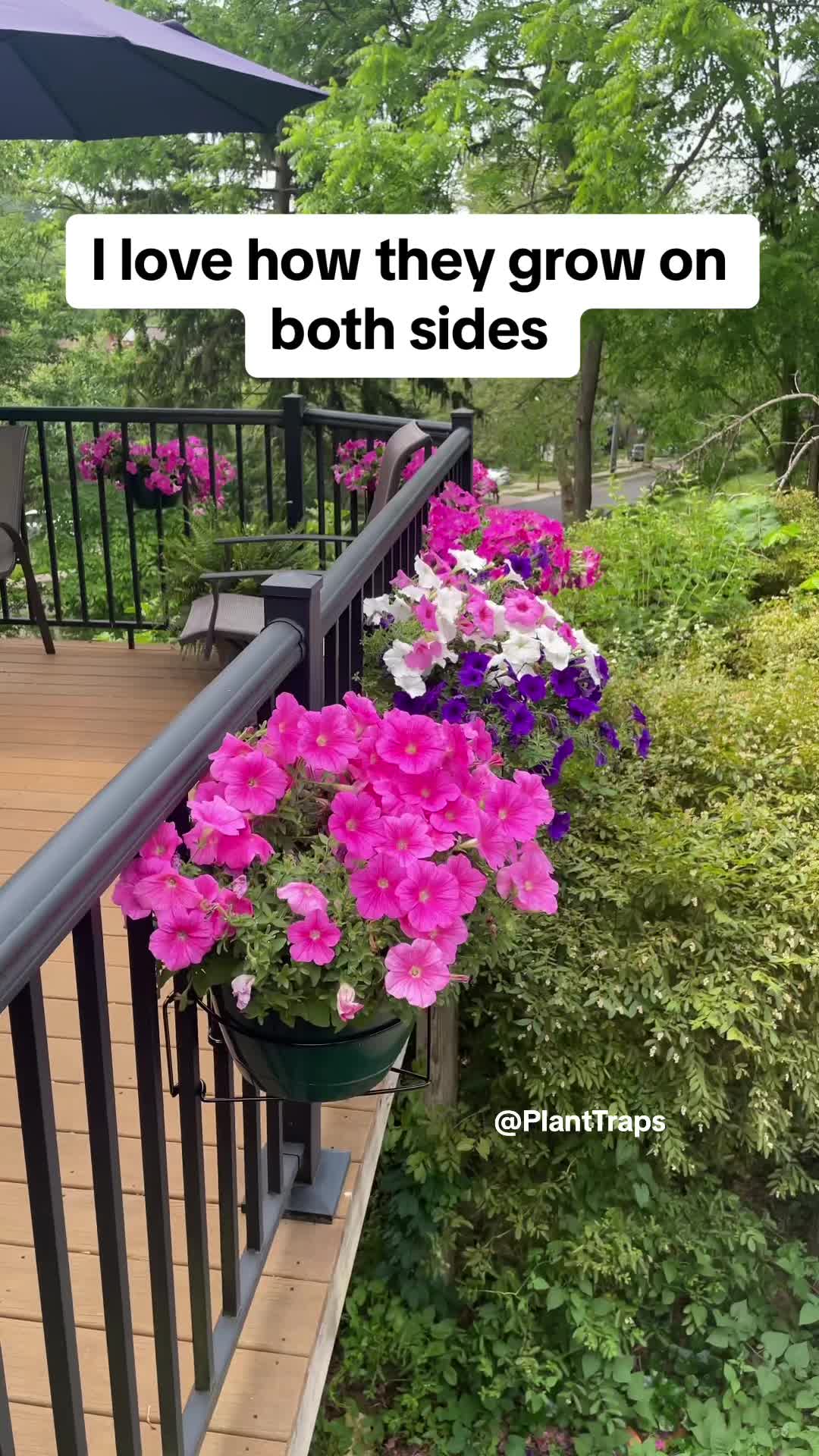 @PlantTraps