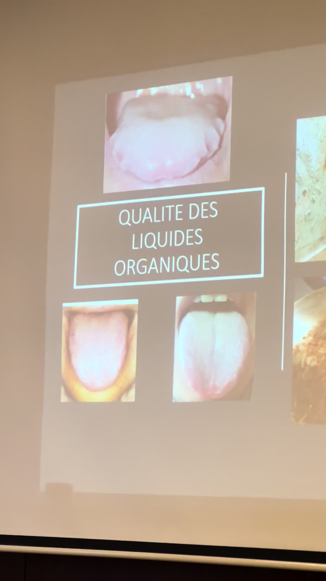 @Tao România