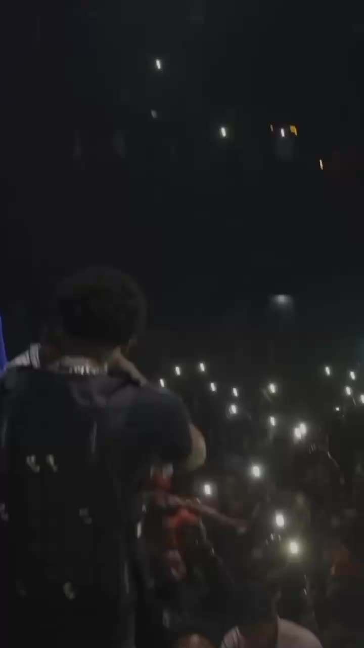 @vdz