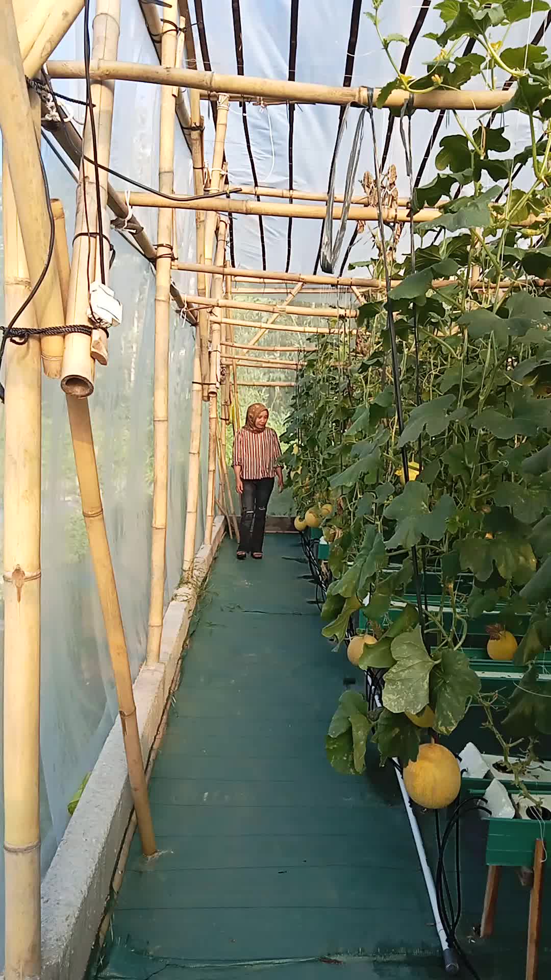 @Nur bunda Farel