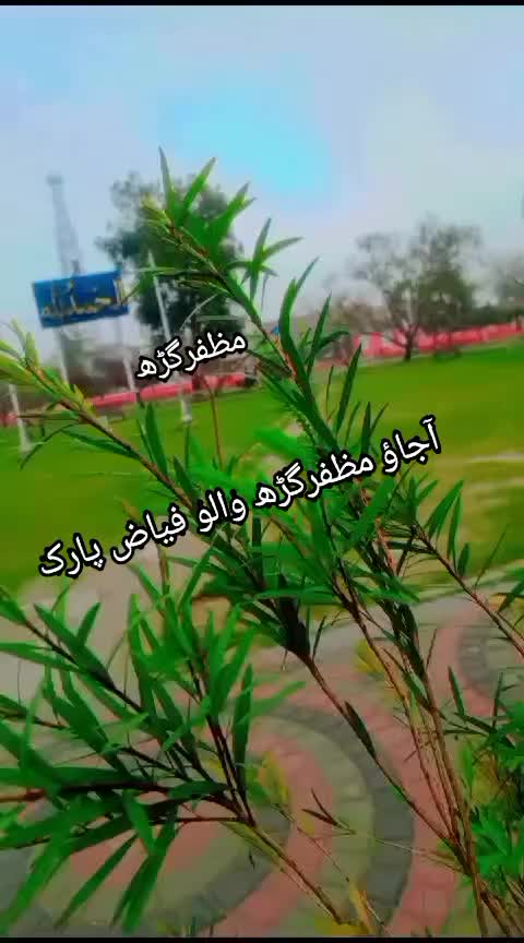 @@rafia
