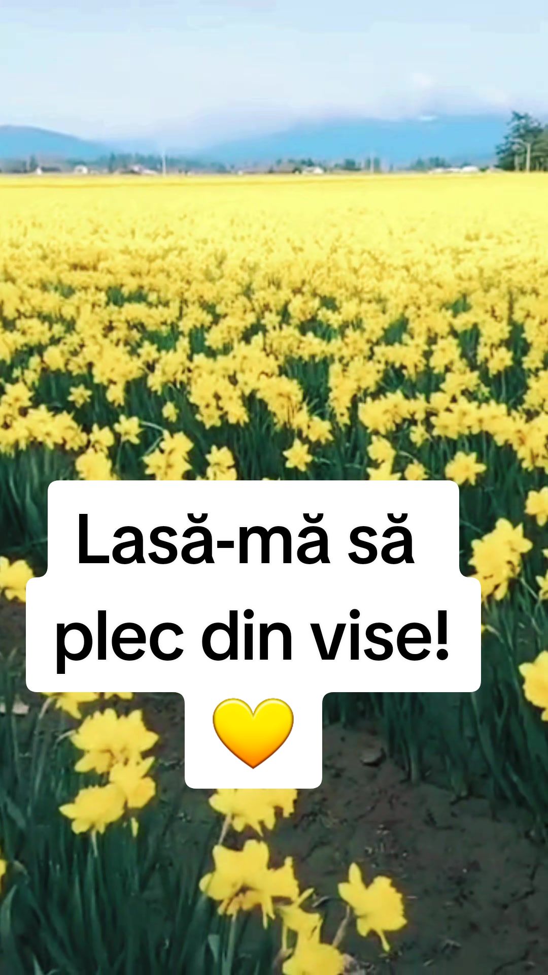 @Psalmii sufletului meu