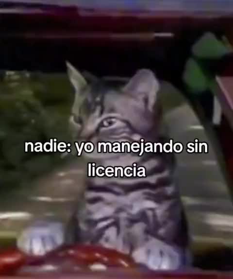 @PA