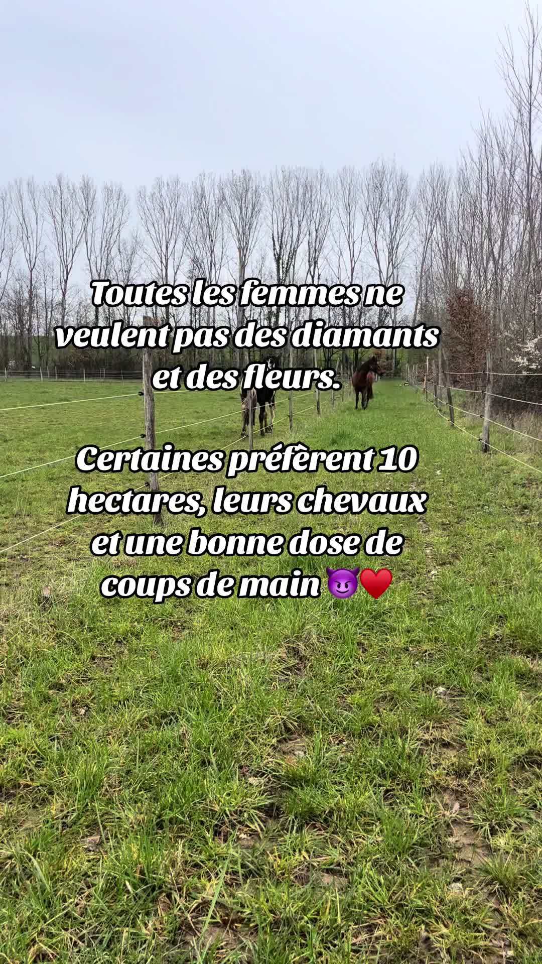 @Campagnarde 🦓