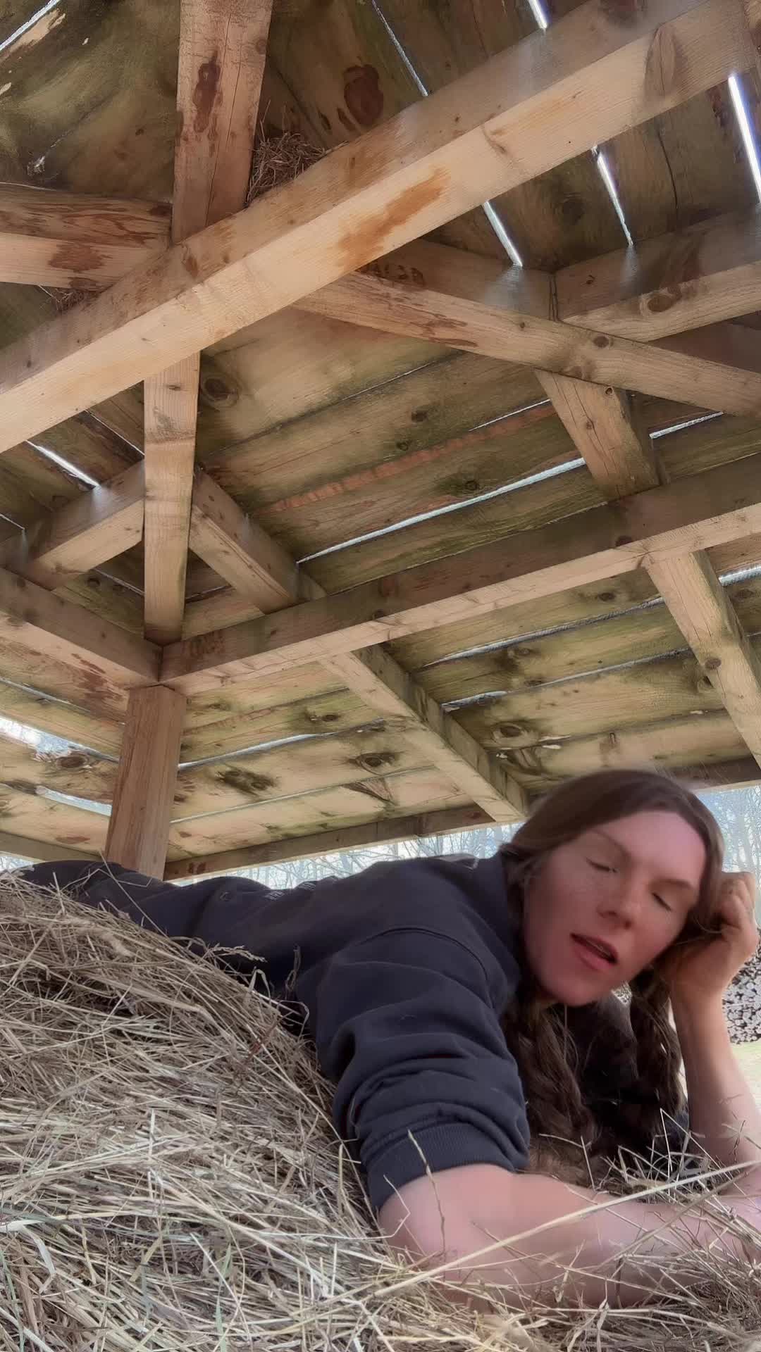 @HafiHorse2