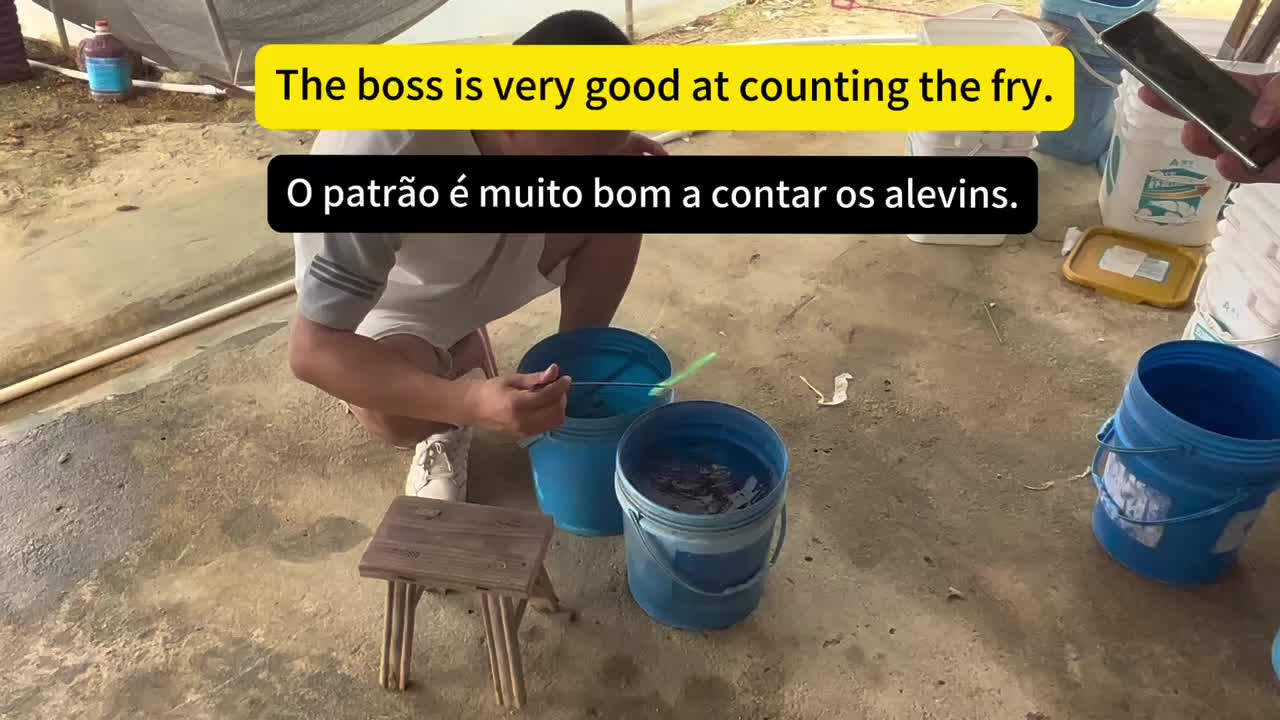 @Elissa
