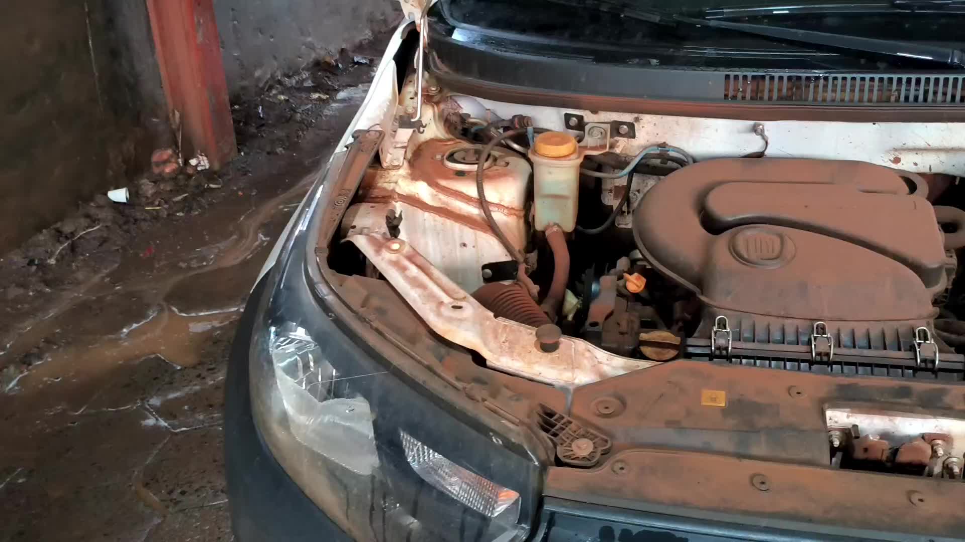@Autoestetica Pot&icirc; Por&atilde;