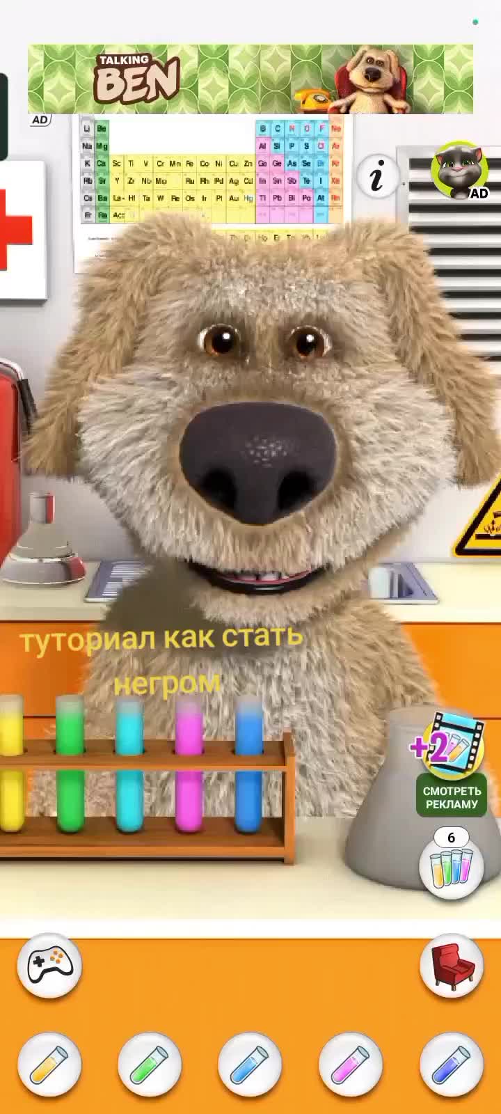 @POKRYSHKA