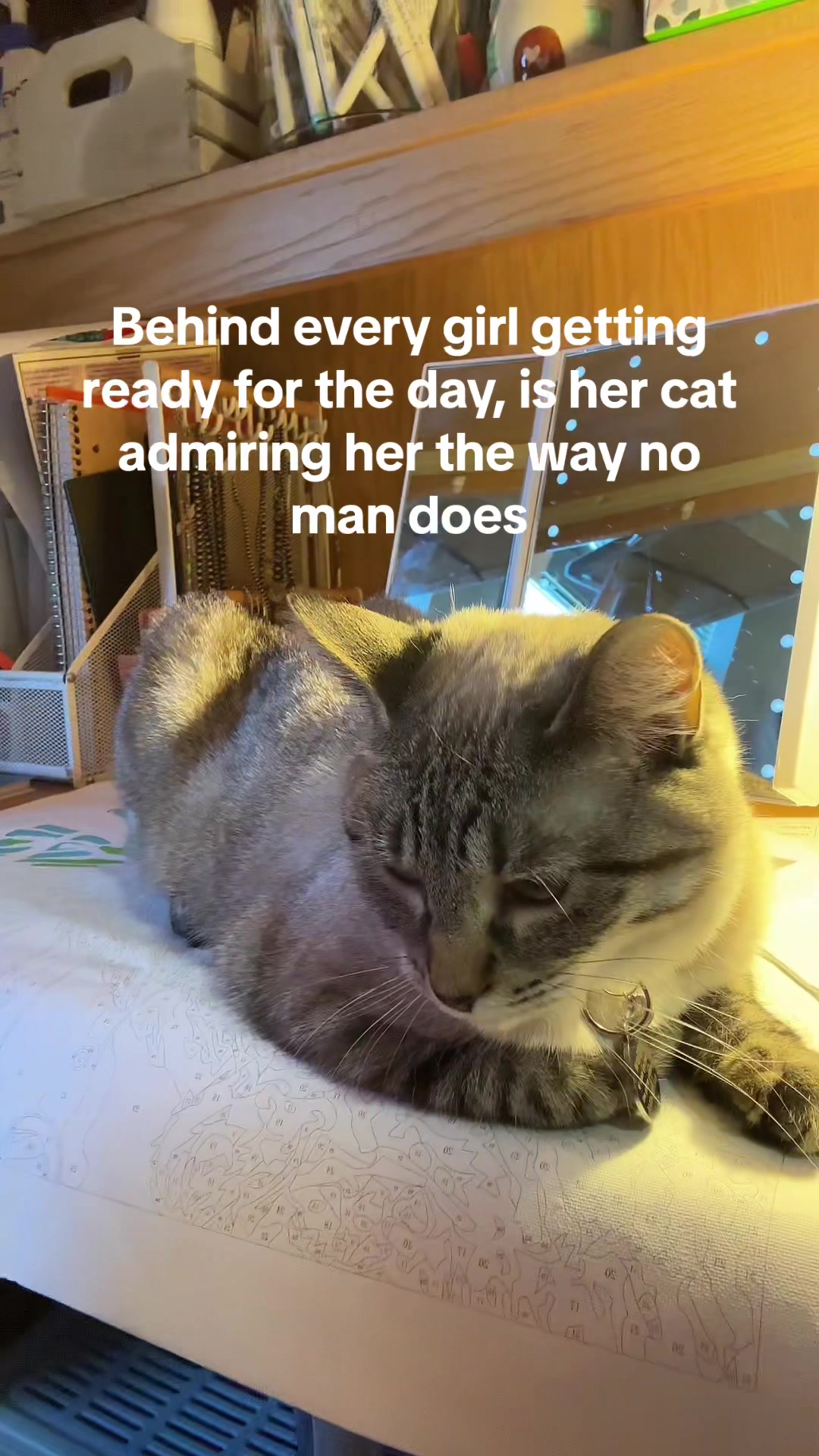 @willowthecollegecat