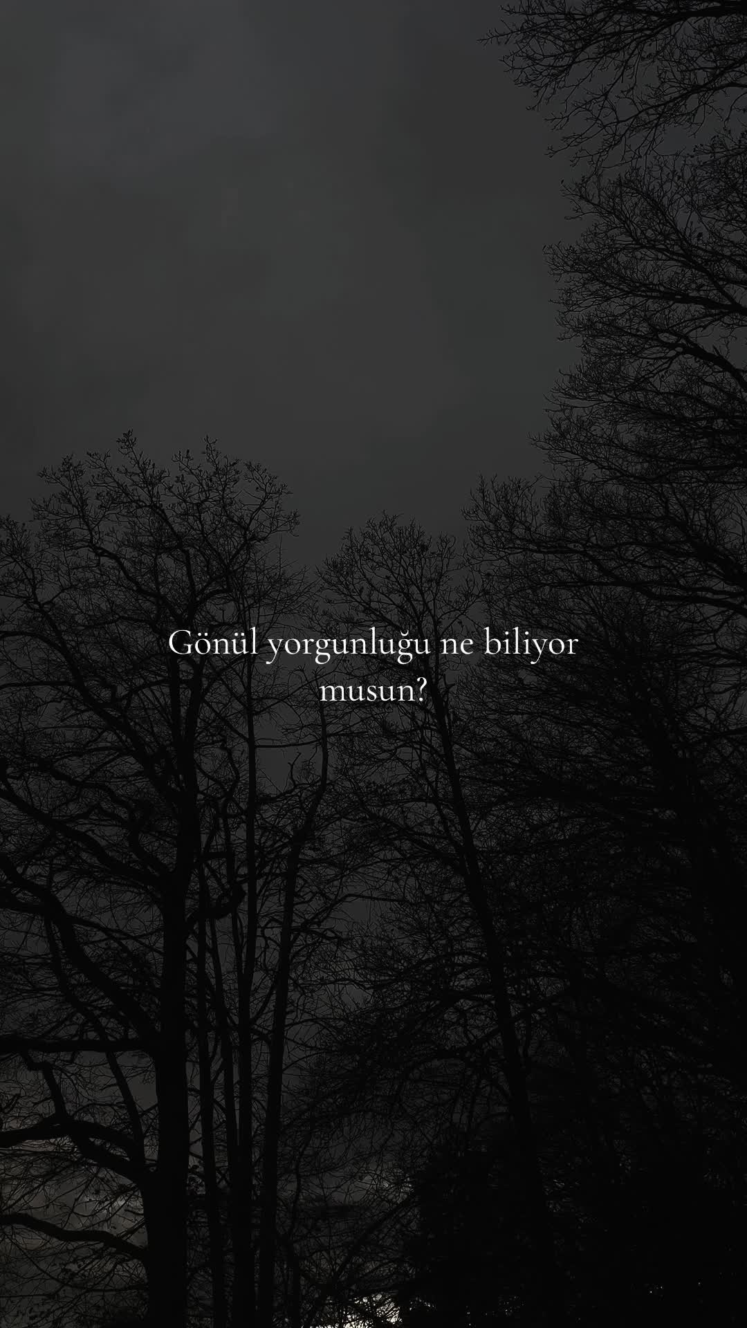 @𝓡🪬