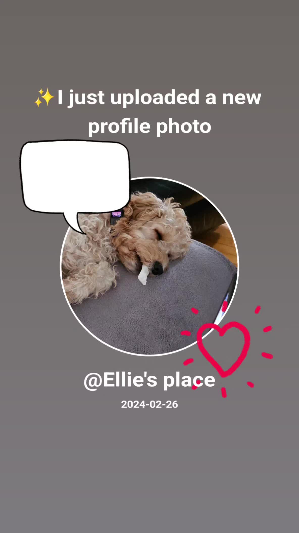 @Ellie's place