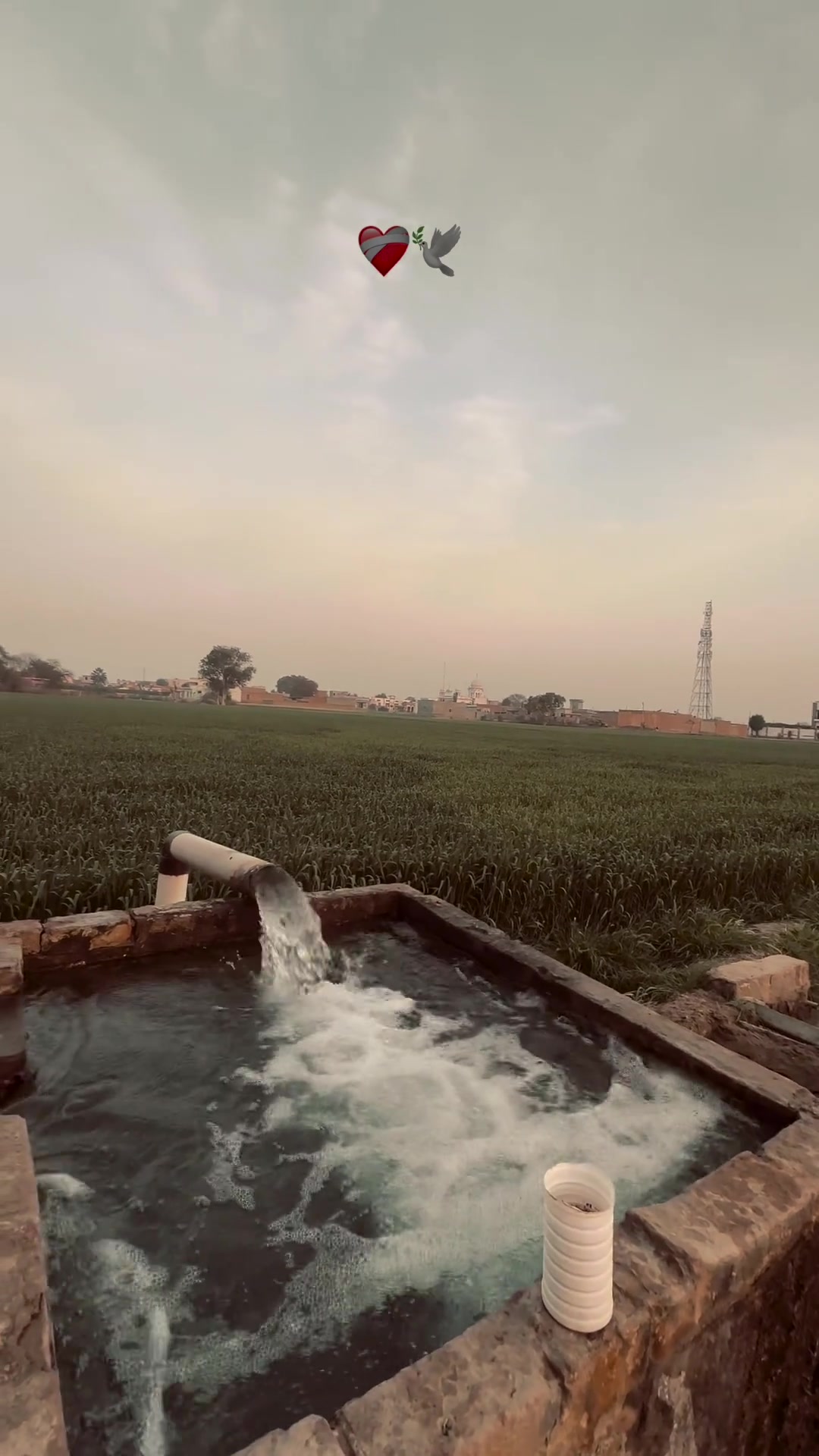 @Punjab