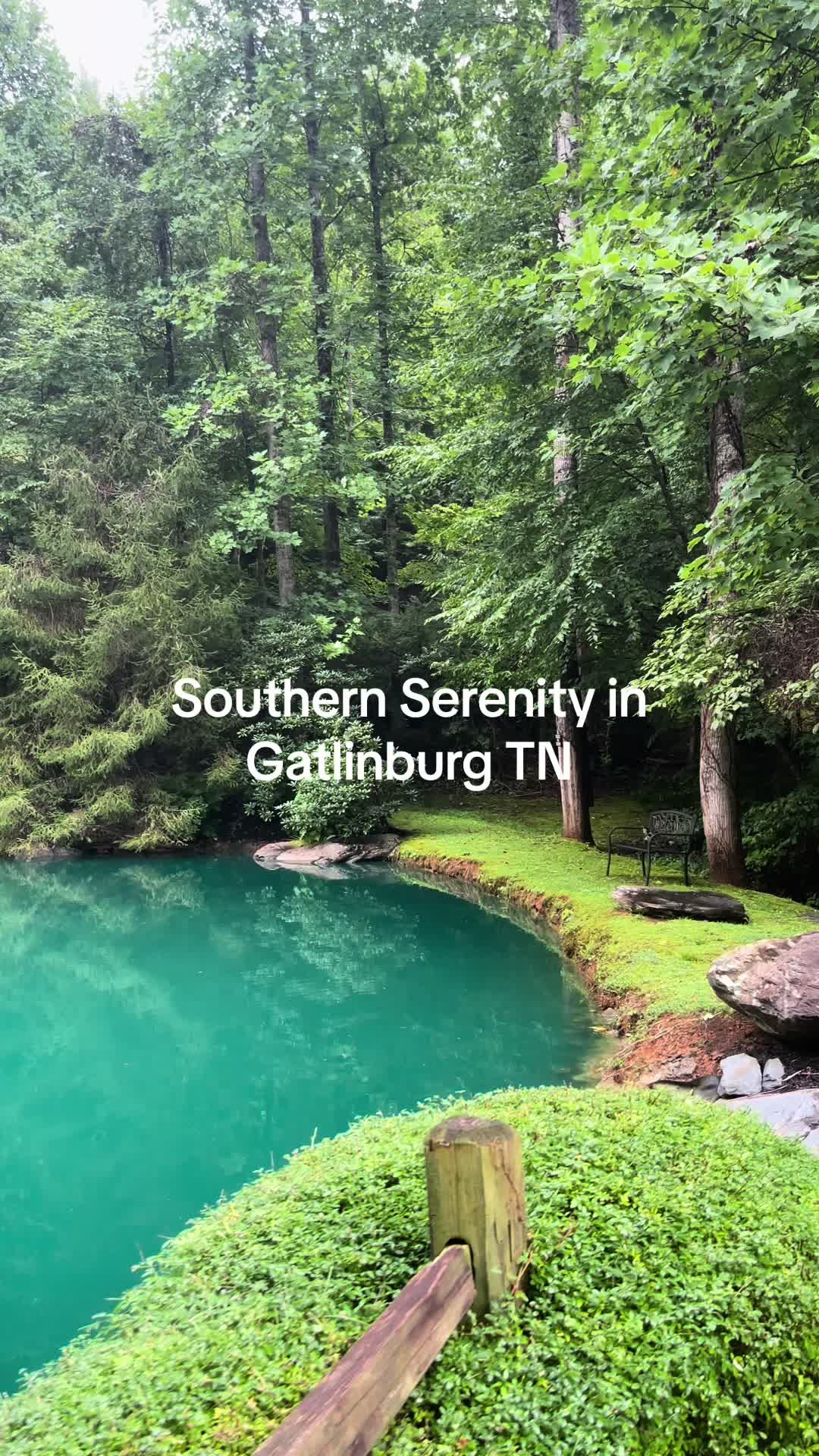 @southern_serenity_stays