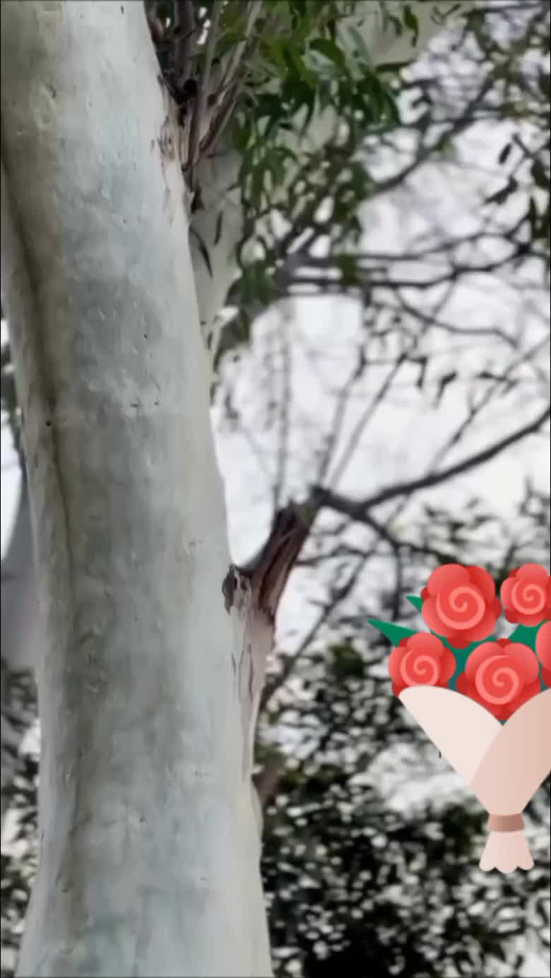 @Gita bhujel 133🌹🌹🌹🌹🌹
