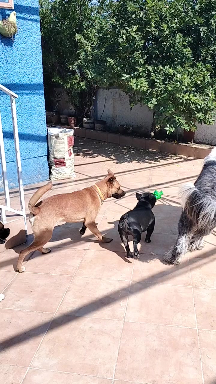 @Canbnb 🐶❤️