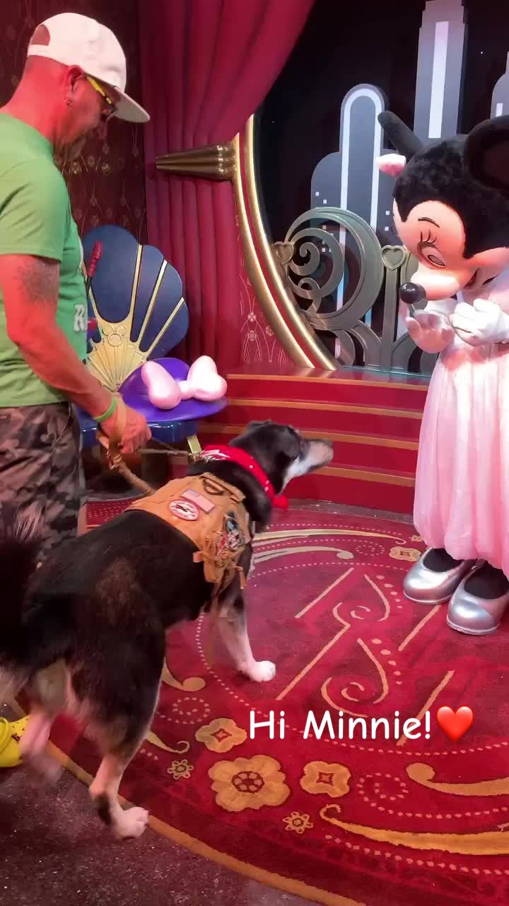 @bitsofhunny_disney
