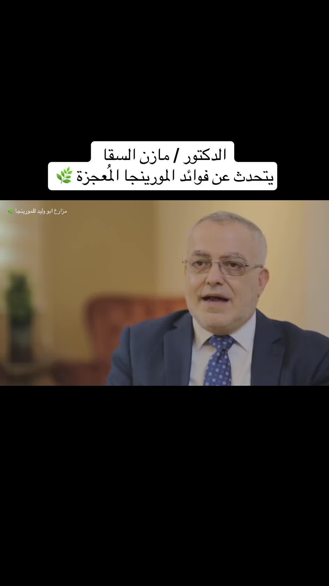 @مزارع ابو وليد للمورينجا 🌿