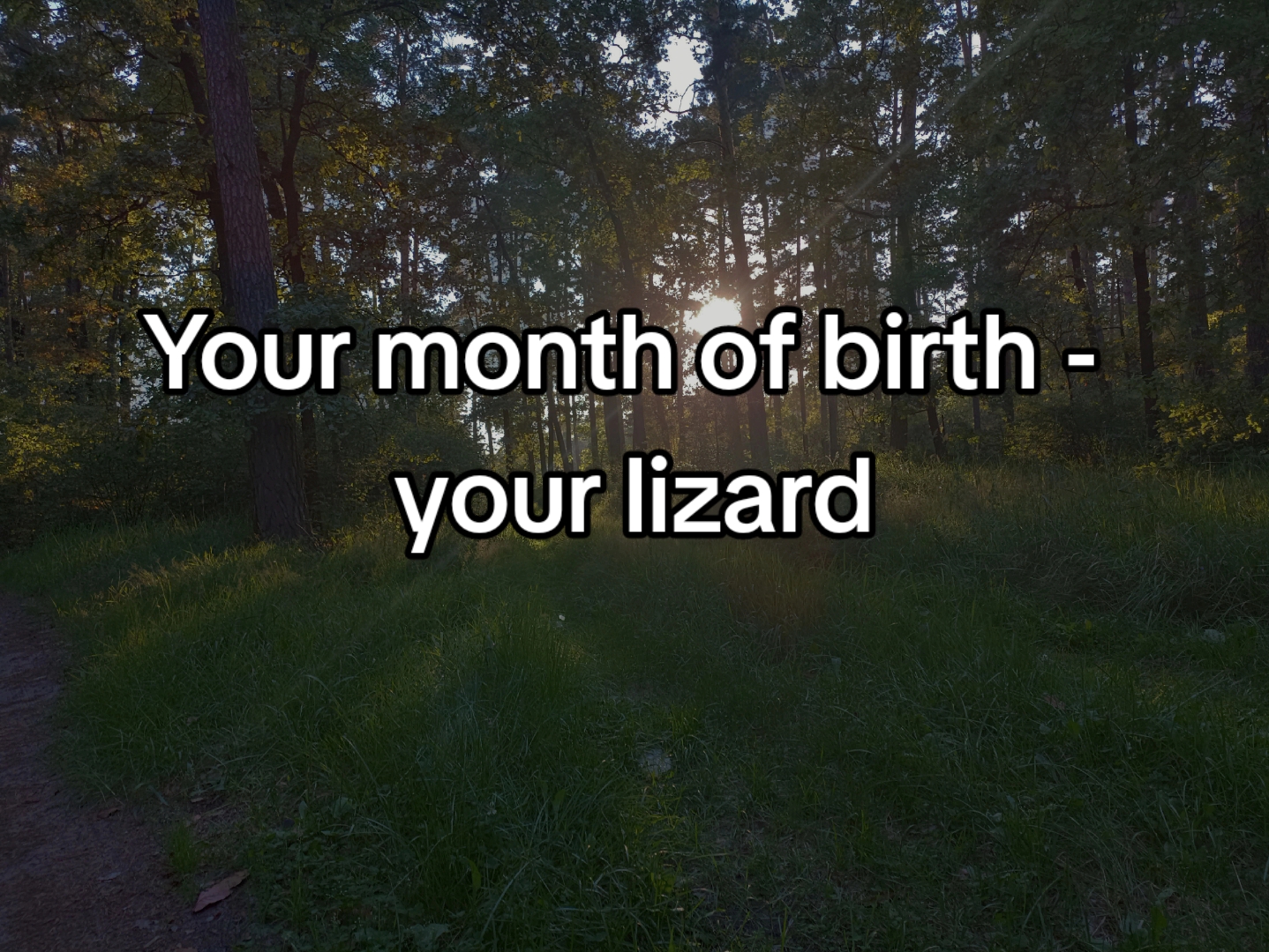 @ᅠ