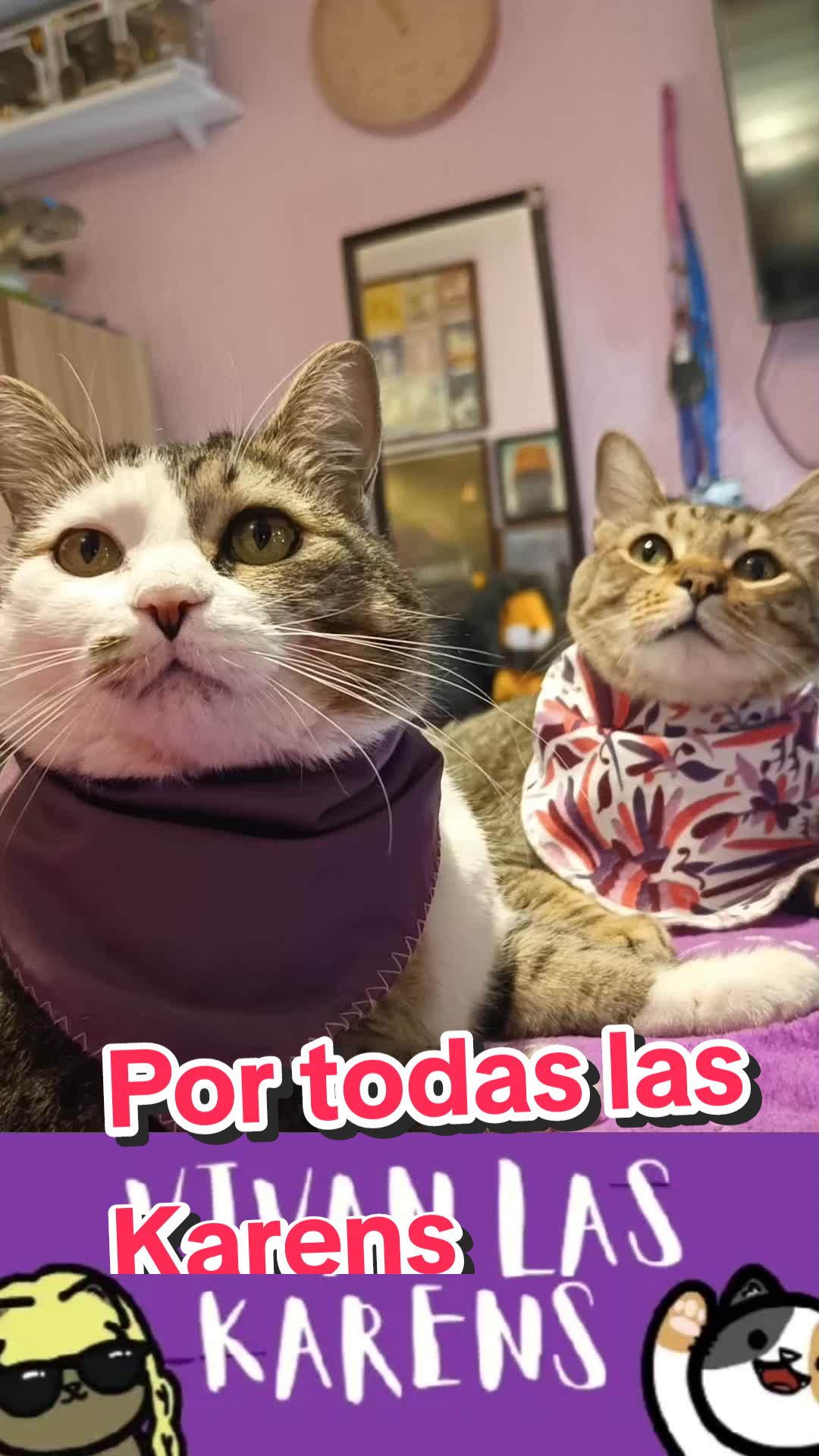 @Rayito, Jake, Ivar & Cristal