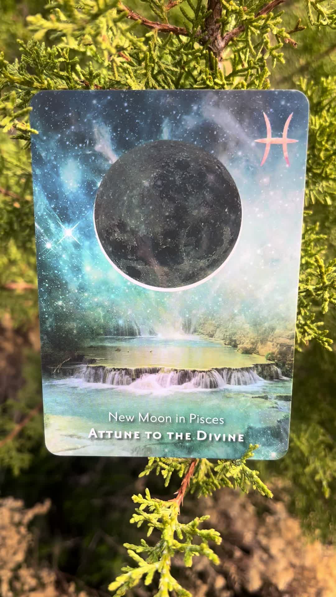 @💫 Star Keeper Oracle 🔮