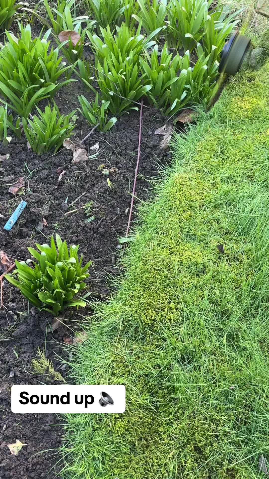 @GardenStyle