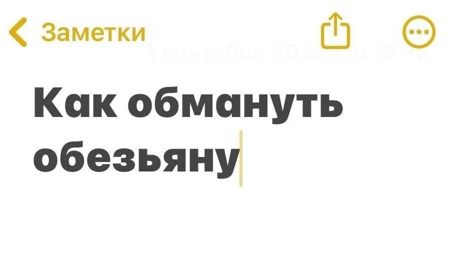 @user84641404389
