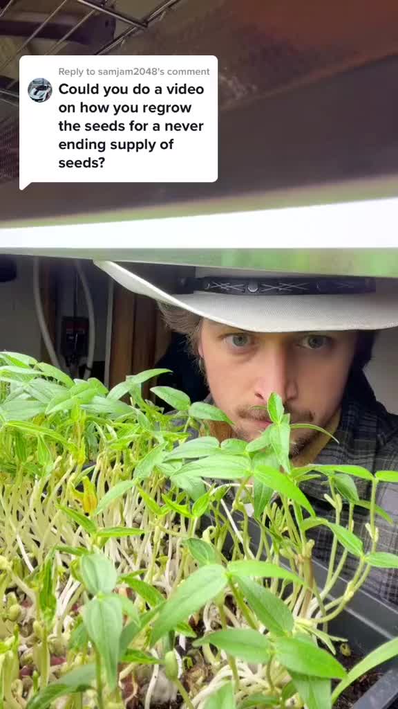 @ImBuggin