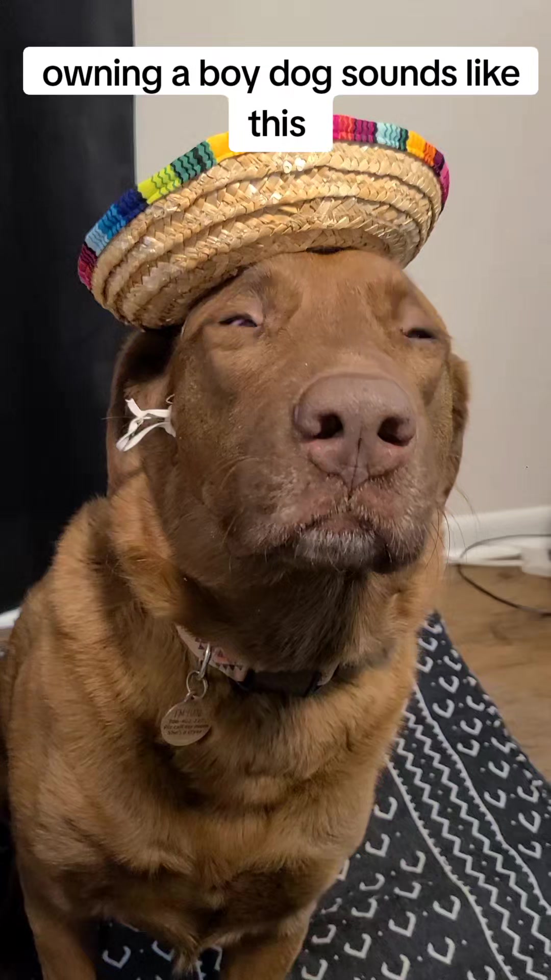 @hankinthehat