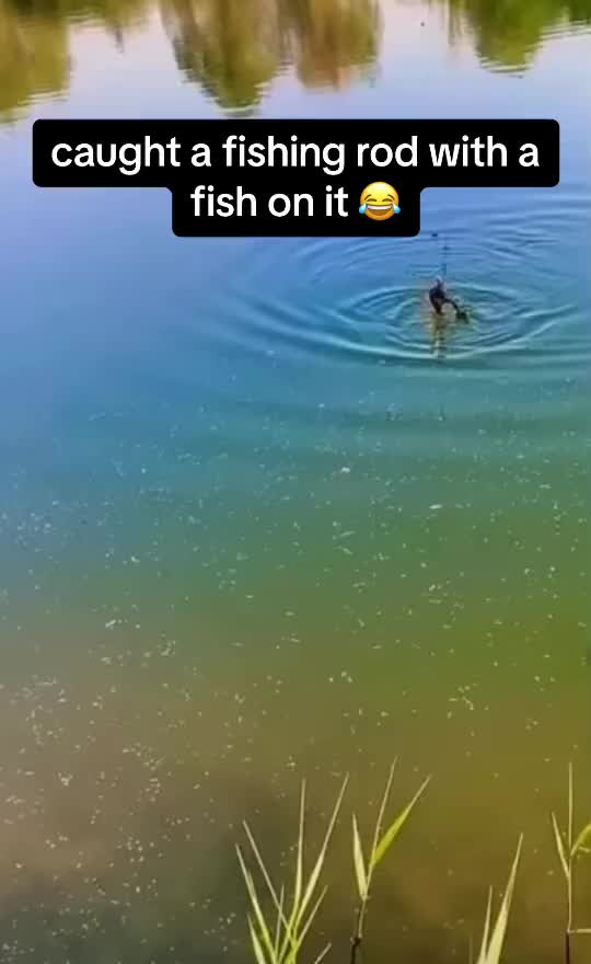 @ImBuggin