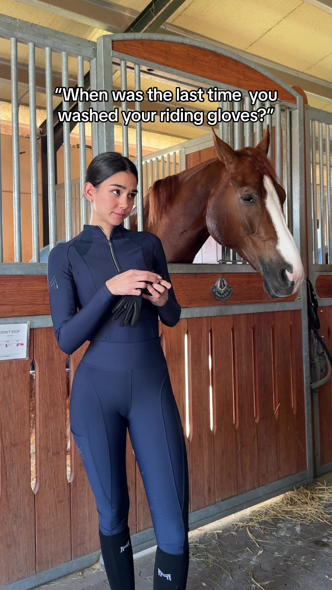 @Maximilian Equestrian