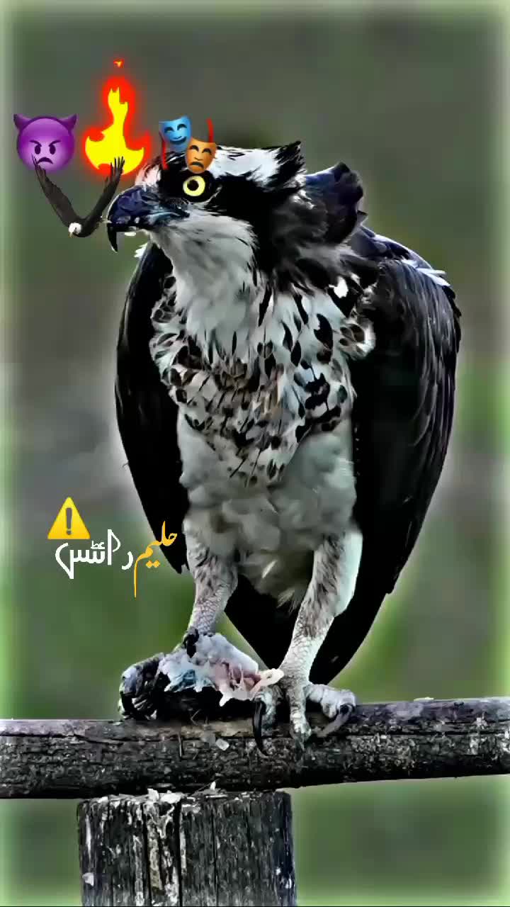 @makha.jatt.1
