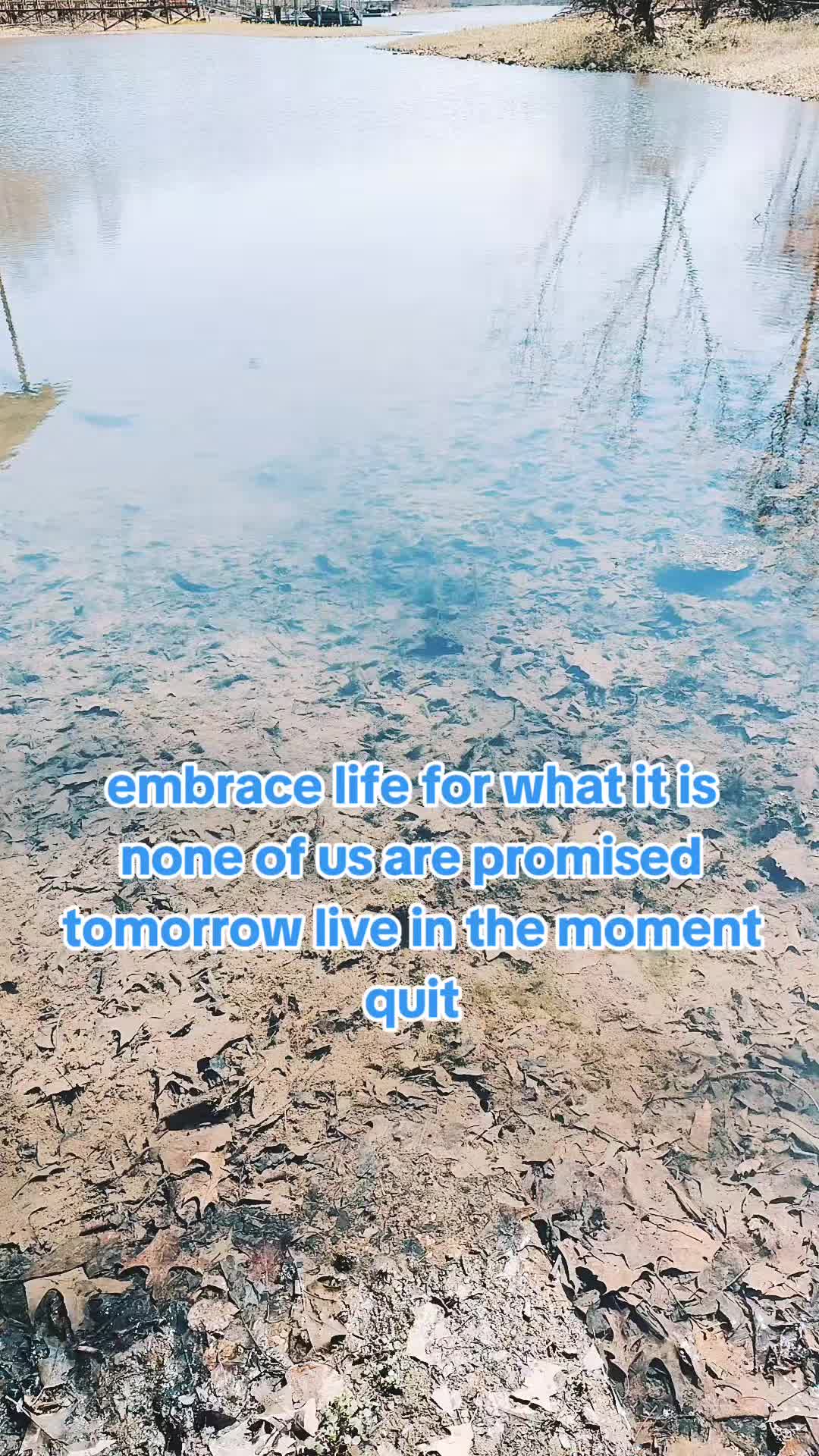 @AshleyChalet