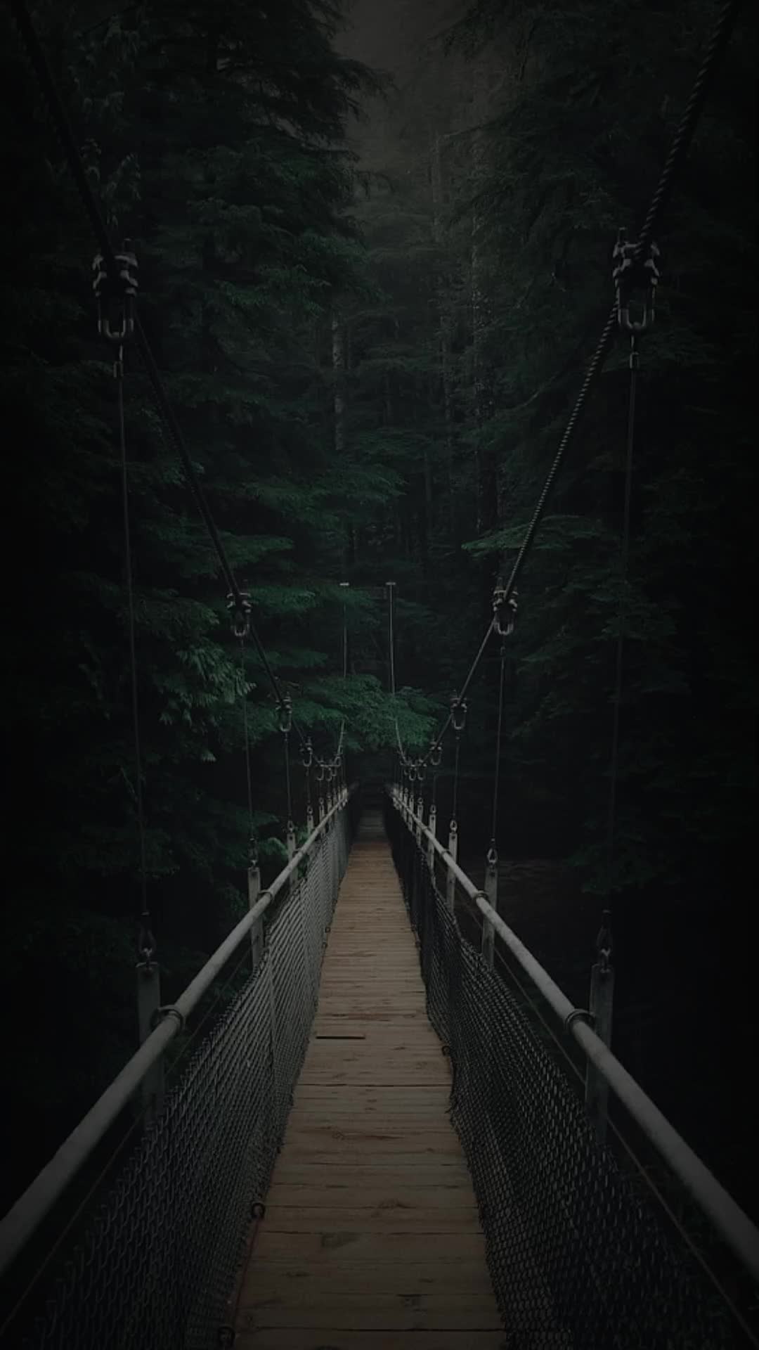 @𝗟𝗶𝗿𝗶𝗸🎶🎧