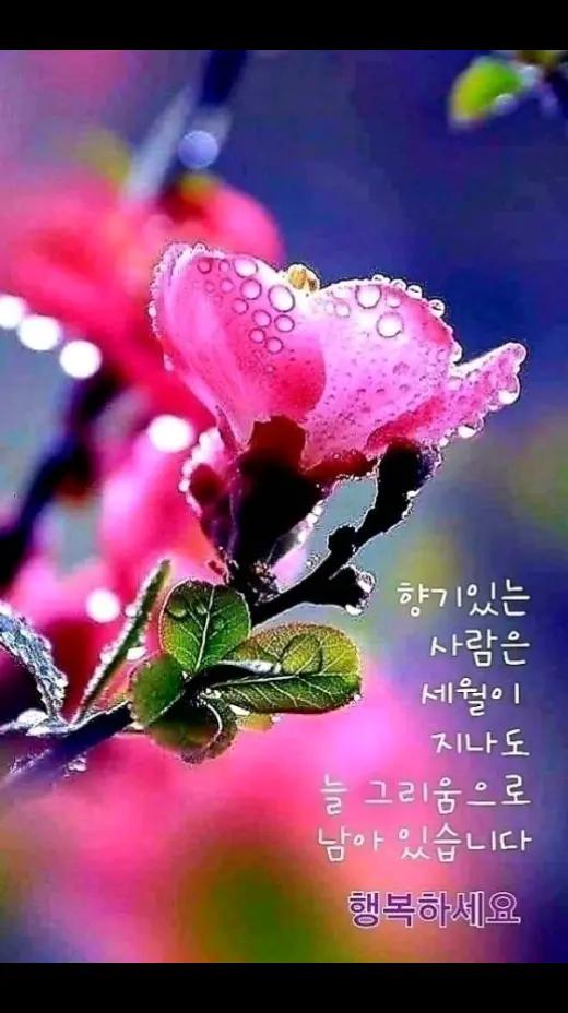 @바라보기