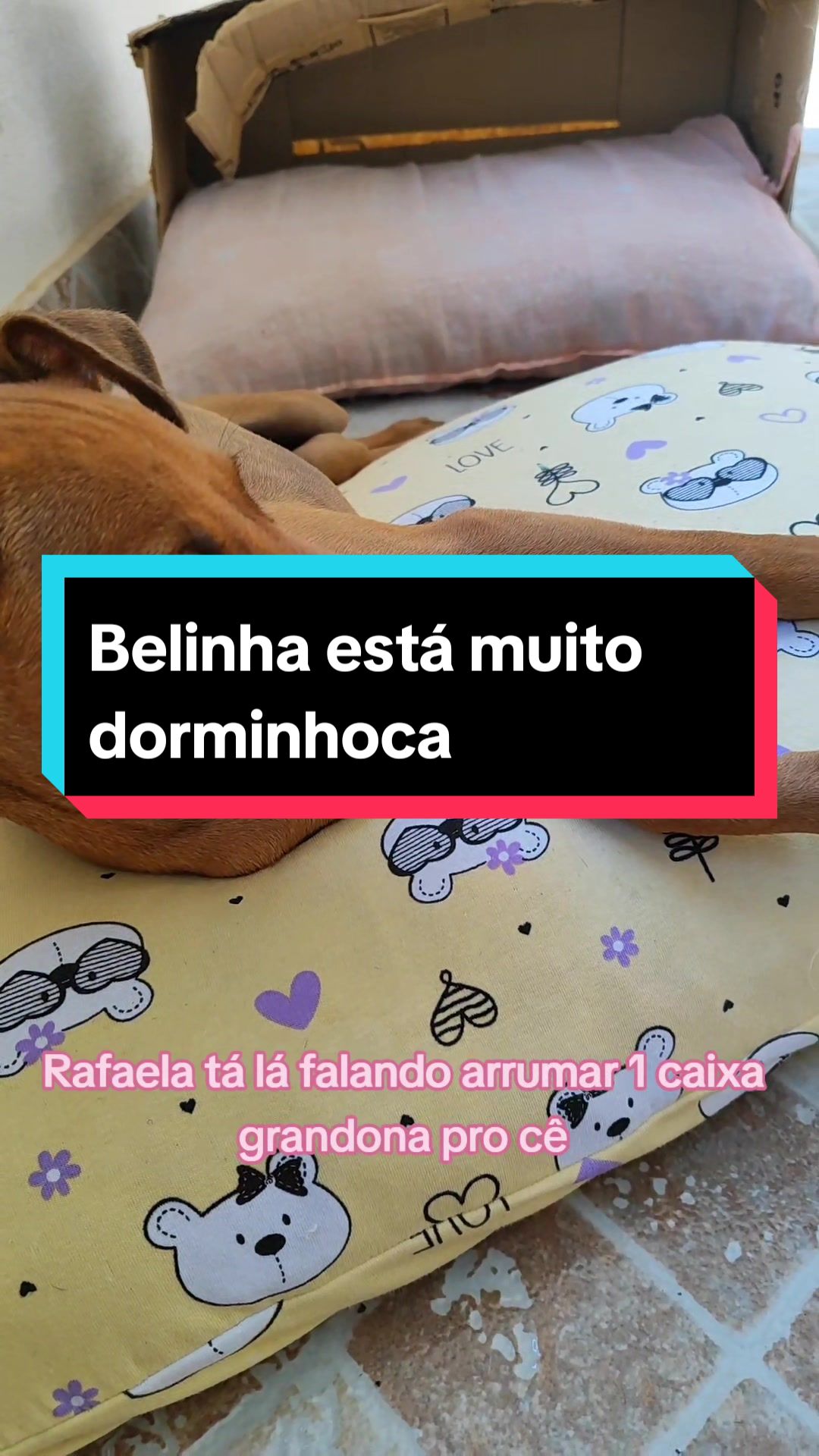 @Belinha e tiamara