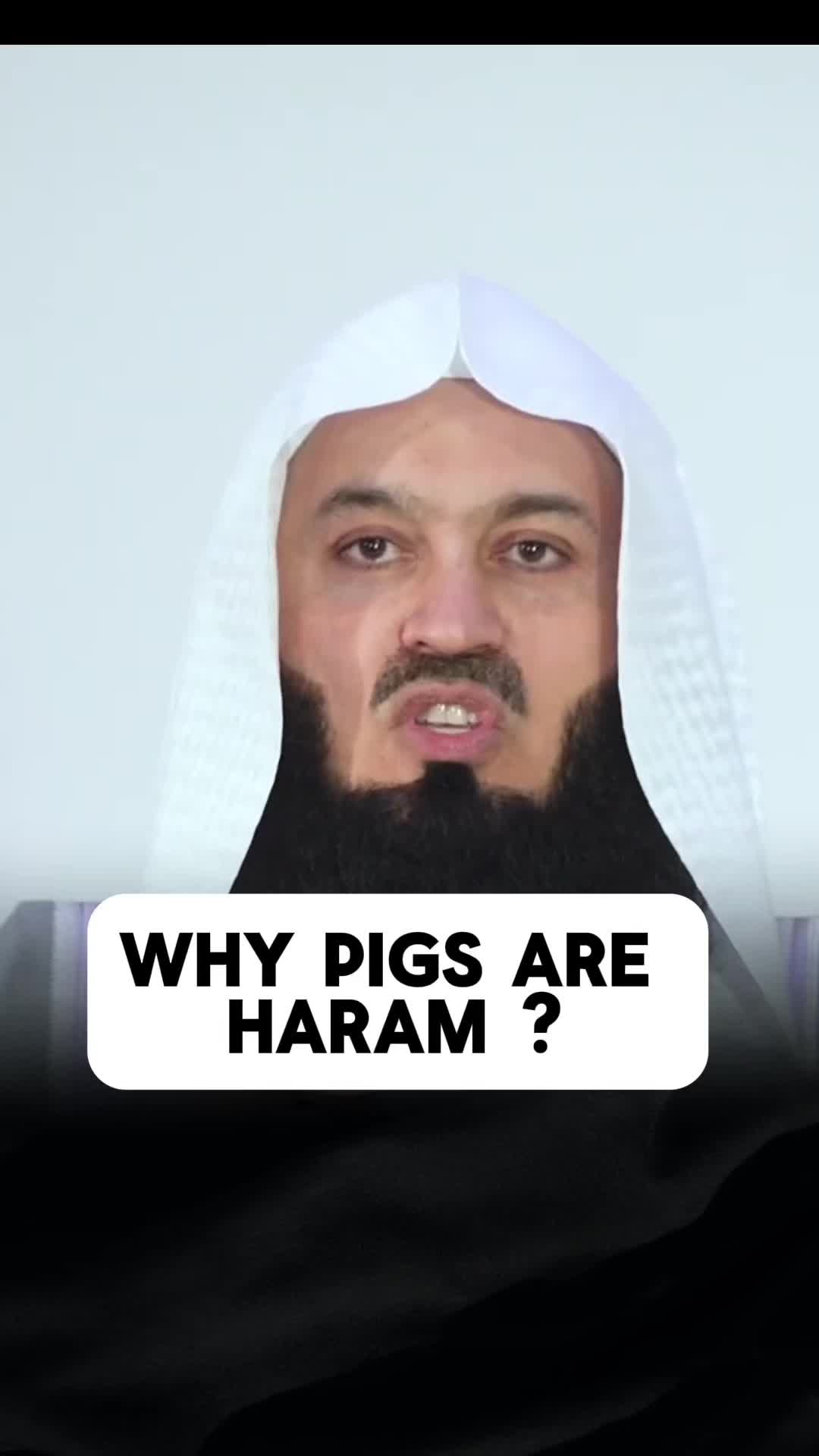 @Mufti Menk