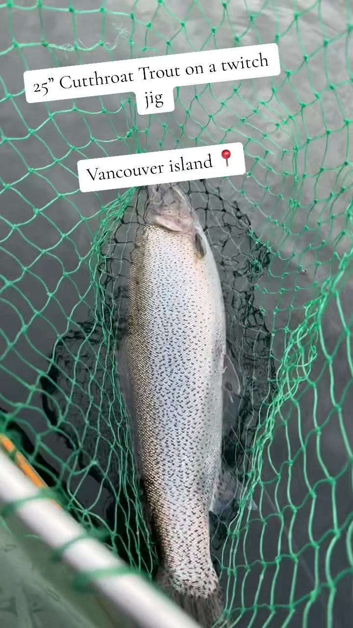 @FishingThe(250)