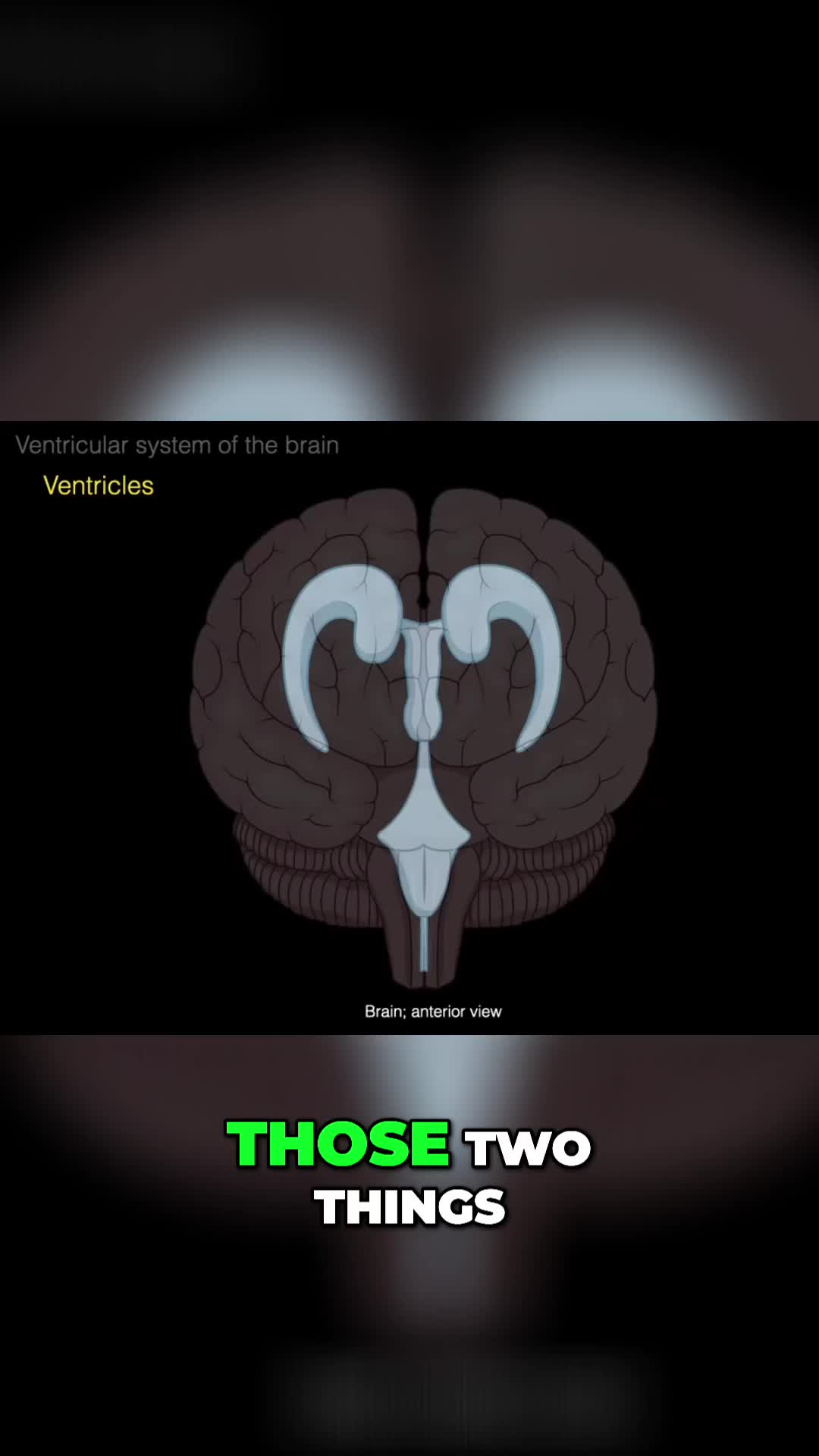 @The Noted Anatomist
