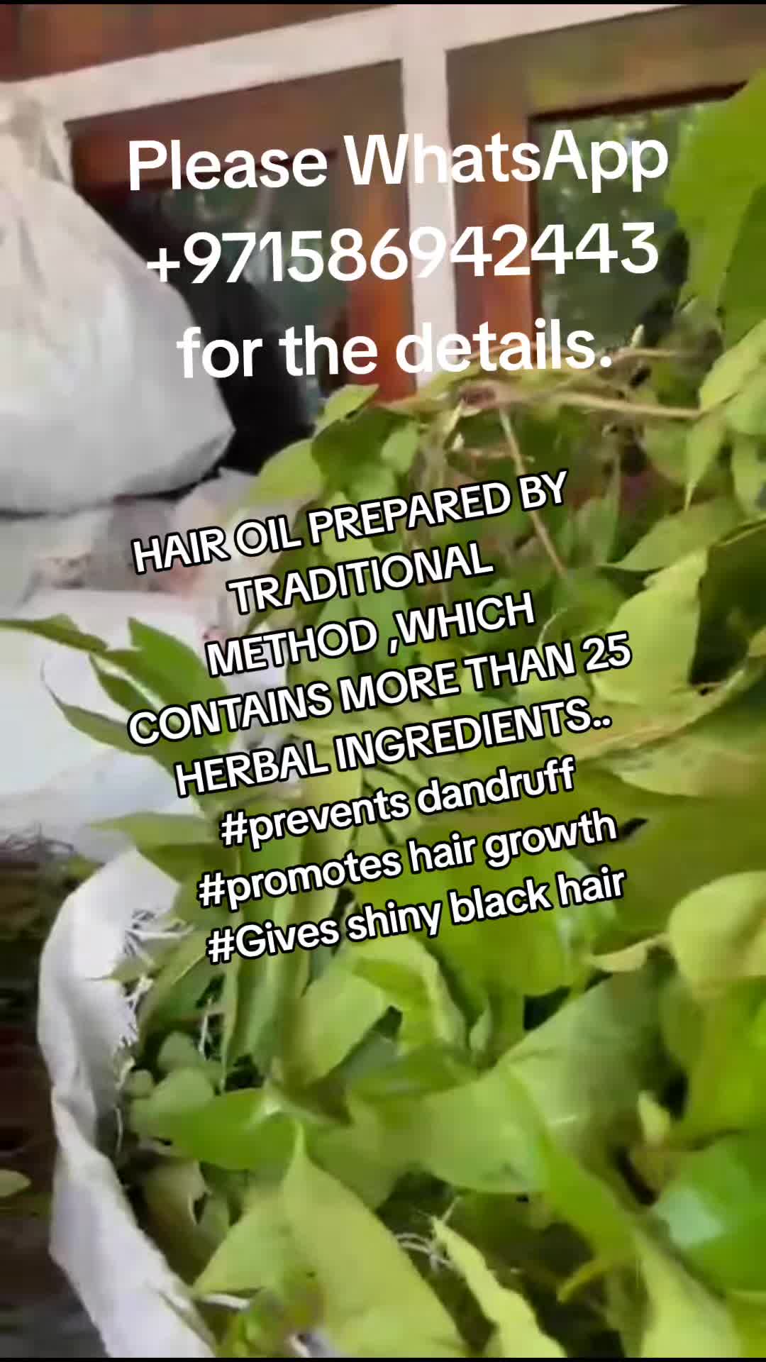 @☘️🍀BRAHMAHERBALS🌿🌿 HAIR OIL