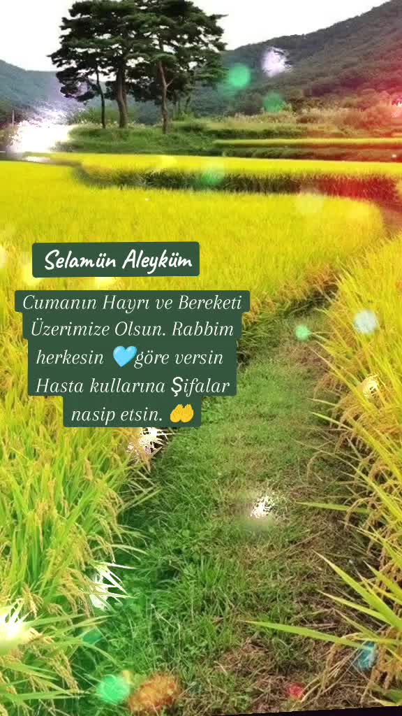 @Kader🌼🌹🍁🌷